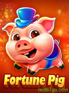 FortunePig: Exploração do Populoso Mundo de NN567.com